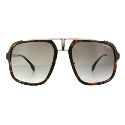 Carrera Sunglasses 1004/S 2IK HA Havana Gold Brown Gradient