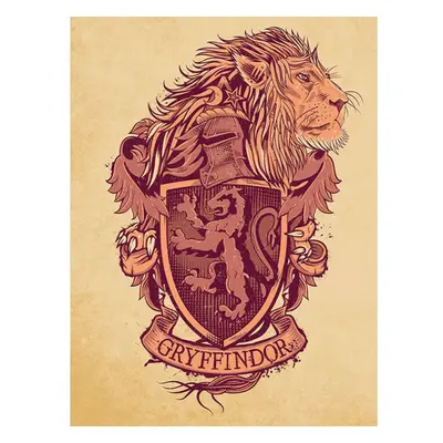 Harry Potter Gryffindor Canvas Print