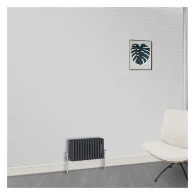 (300 x 605mm-3 Column) NRG Traditional Anthracite Cast Iron Style Radiator