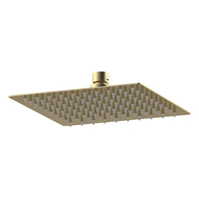 Square Fixed Head, 200mm - Brushed Brass