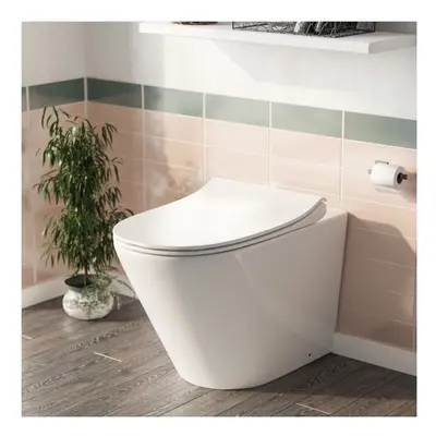 Elliss Round Back to Wall Rimless Toilet Pan + Soft Close Seat