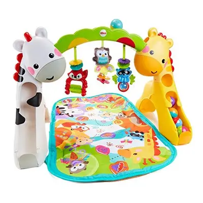 Newborn-to-Toddler Play Gym