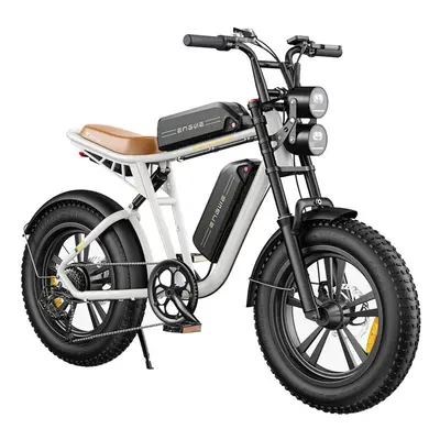 ENGWE M20 Electric Bike W750 25KM/H for Adults, Dual 13AH E-bike