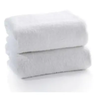 Polar 24 x in. Economy Grade Bath Towel - Case of