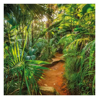 Komar Photo Mural Jungle Trail 368x254cm Decorative Wall Print Decor Wallpaper