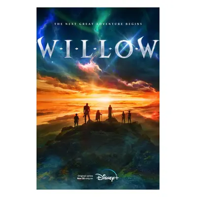 Willow (2022) Original TV / Movie Poster