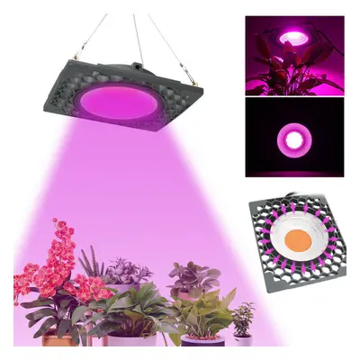 (220V) 50W Full Spectrum LED Grow Light Veg Seed Greenhouse Super Cooling Plant Lamp AC110V/220V