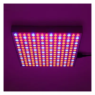 1200W LED Grow Light Waterproof Plant Lamp Chip Phyto Growth Lamp Full Spectrum Plant Lighting f