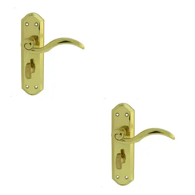 2x PAIR Spiral Sculpted Handle on Bathroom Backplate x 48mm Polished Brass