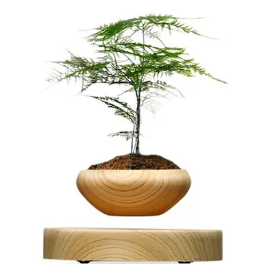 Magnetic Suspended Potted Plant Wood Grain Round LED Indoor Pot Home Office Decoration