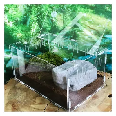 (L) Turtle Tank Reptile toxic Large Acrylic Breeding Cage Non Fish Tank