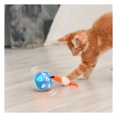 USB Charging Smart Sensor Ball Pet Toys Colorful Light Balls