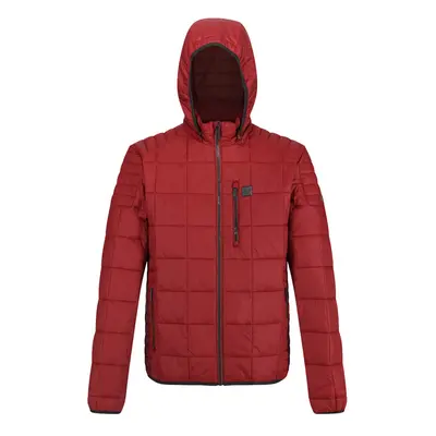 (L, Spiced Apple) Regatta Mens Danar Water Repellent Warmloft Hooded Jacket