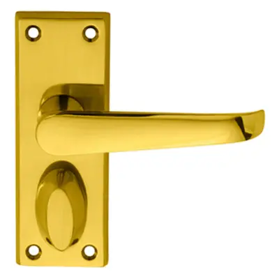 PAIR Straight Handle on Short Privacy Backplate x 42mm Polished Brass