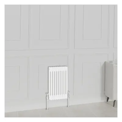 (600x425mm-2 Column, White) NRG Traditional Radiator Horizontal Vertical Cast Iron Style Double 