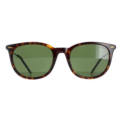 Polo Ralph Lauren Sunglasses PH4164 Shiny Dark Havana Bottle Green