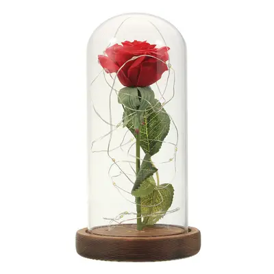 (Burnt Wood Base) Red Rose Lights Decorations Beauty Enchanted Preserved Red Fresh Rose Glass Co