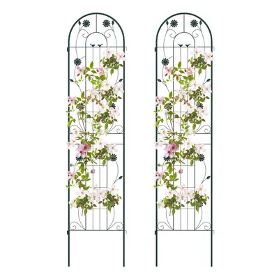 2 Pack Trellis cm x cm Metal Wire Garden Screens Backyard Lawn