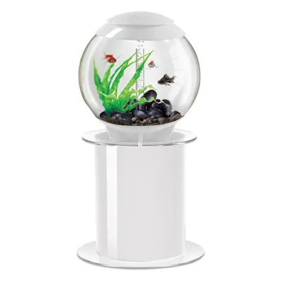 biOrb Halo 60L Aquarium in White with MCR LED Lighting with Stand