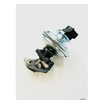 EGR Valve for BMW (E60,E61) 520D EGR/BM/003A