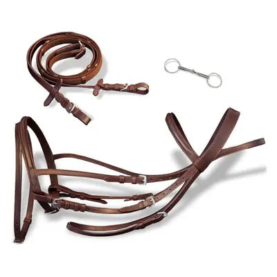 vidaXL Leather Flash Bridle with Reins and Bit Brown Full Adjustable Length