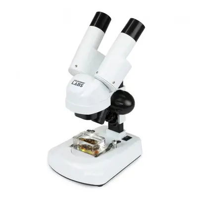 Celestron Labs S20 Angled Stereo Microscope