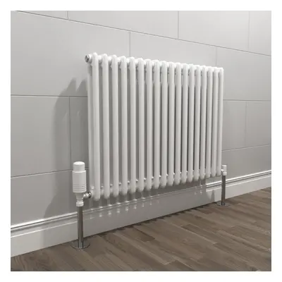 Nes Home X mm White Double Traditional Radiator