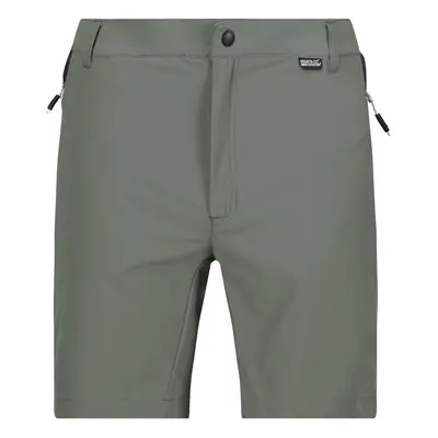 (33R, Agave Green/Ash) Regatta Mens Mountain II Shorts