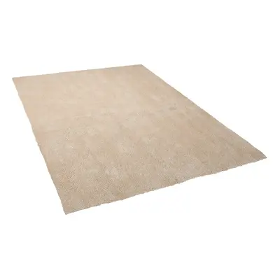 Shaggy Area Rug x cm Beige DEMRE