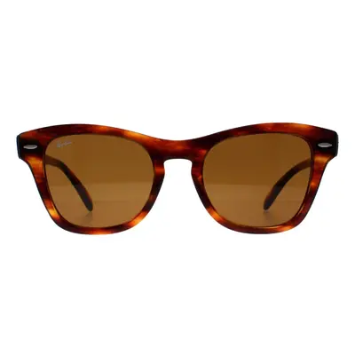 Ray-Ban Sunglasses RB0707S 954/33 Striped Havana Brown