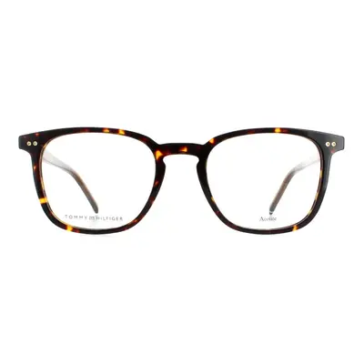 Tommy Hilfiger Glasses Frames TH 086 Havana Men