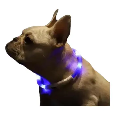 LED Pet Collar Waterproof Lighting Anti Lost Device Warning