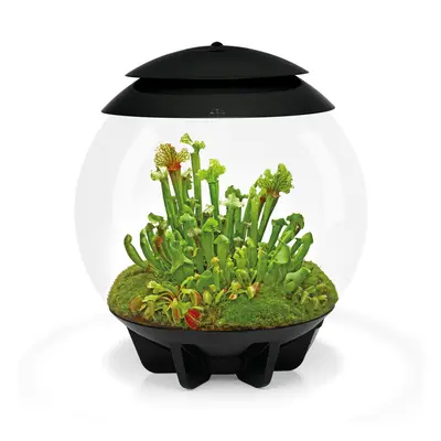 biOrb AIR Black 30L Acrylic Terrarium with LED Lighting Ultrasonic Mister Carbon Filter Reptile 