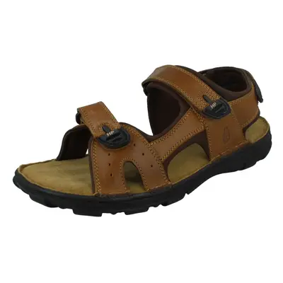 (Brown, UK 11) Mens Hush Puppies Casual Sandals Avery