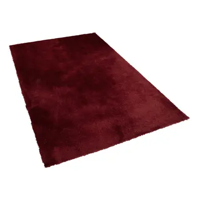 Shaggy Area Rug x cm Red EVREN