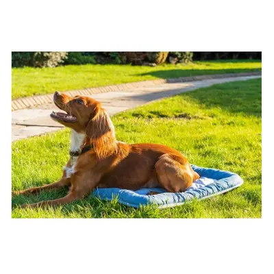 Rosewood Chill Core Mat Pet Dog Cat Cooling Bed Pad Medium x 40cm