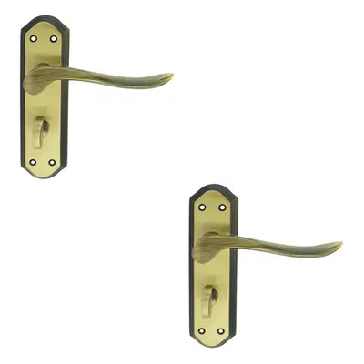 2x PAIR Curved Lever on Sculpted Bathroom Backplate x 48mm Florentine Bronze