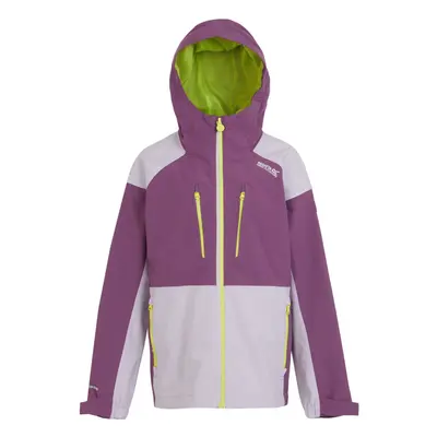 (13 Years, Sunset Purple/Lilac Frost) Regatta Childrens/Kids Highton V Full Zip Hoodie