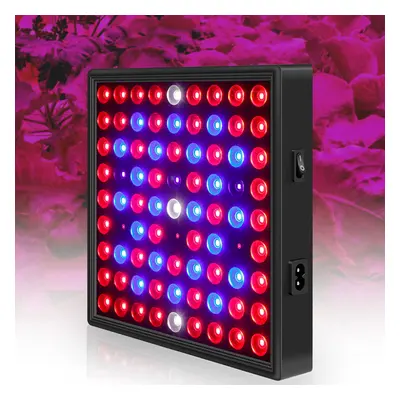 (EU Plug, Big) 91/169LED Grow Light Plant Growing Lamp With Clip For Indoor Plants Vegetable AC8