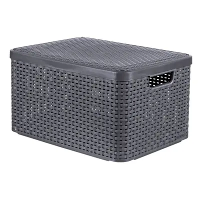 Curver Storage Box with Lid Style 30L Metallic Silver Household Storage Box