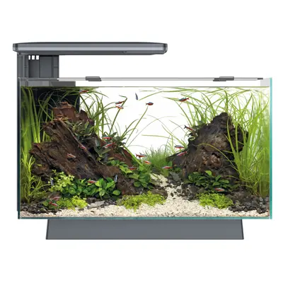 (Black, Multicolour) Superfish Quadro Aquarium Fish Tank LED Lighting & Filter, Optional Cabinet