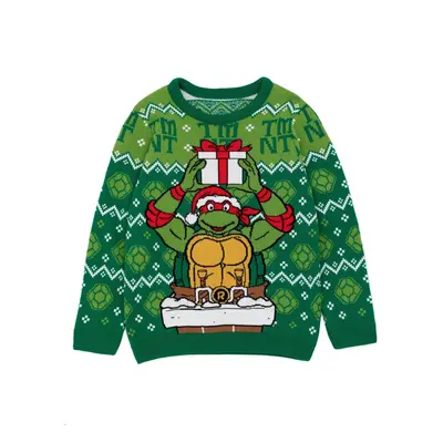 (7-8 Years, Green) Teenage Mutant Ninja Turtles Boys Knitted Christmas Jumper