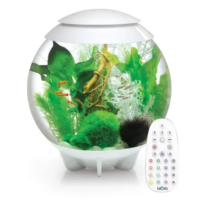 BiOrb Halo 60L Aquarium in White with MCR LED Lighting