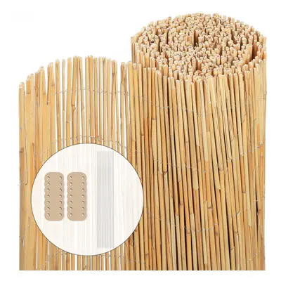 VOUNOT Natural Peeled Reed Fence 100x600cm with Fixing Clips Garden Panel Fence