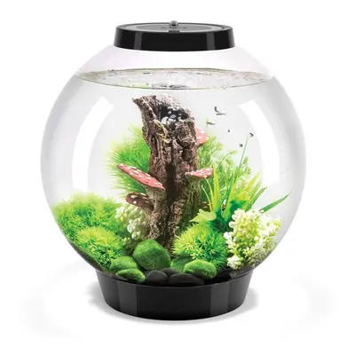 BiOrb Classic 30L Aquarium in Black with MCR LED Lighting