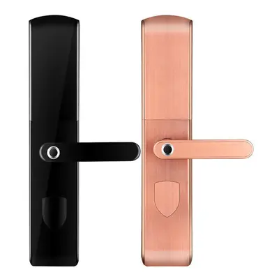 (Bronze) Smart Electronic Fingerprint Door Lock Touch Password Keys With Lock Core Keypad