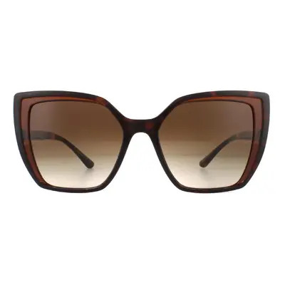 Dolce & Gabbana Sunglasses DG6138 Havana On Transparent Brown Gradient