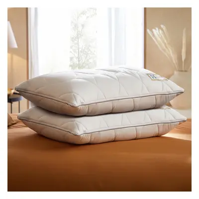 Sealy Dual Comfort Memory Foam Pillow - Pack