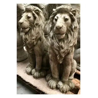 Pair Regal Lion Statues | Reconstituted Stone Animal Garden Ornament