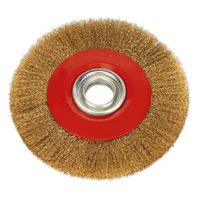 200 x 13mm Wire Brush Wheel - Brass Coated Steel - 32mm Bore - Bench Grinding